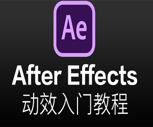 【AE动效入门指南】After Effects教程