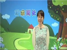 小学奥数几何图形面积知识点精讲教学视频(涂熹恺 15讲)