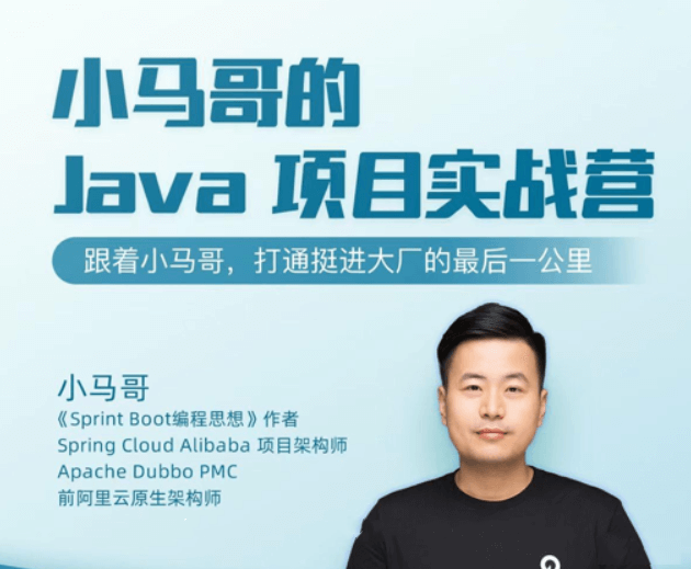 小马哥的Java项目实战营视频