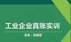 财务主管工业企业全盘账财税处理实操视频培训讲座(行业财税 7讲)