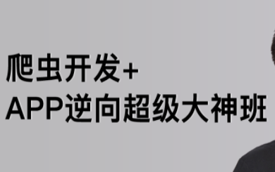 路飞-爬虫开发+APP逆向视频课程