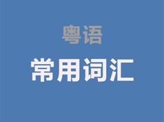 跟我学粤语常用词汇发音视频教程全集