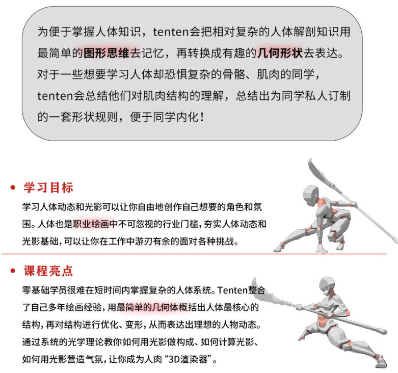 tenten云人体结构动态基础第五期