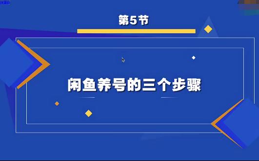 2022版《手把手教你闲鱼店铺运营》：真实实操课程，一周血赚五百（16节课）