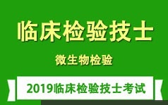 临床检验技士证考试之微生物检测