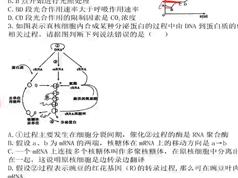 高考生物期末抢分冲刺模拟套卷集训_高三生物题抢分课程