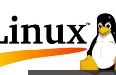 轻松学会Linux系统网络管理组件专题教程