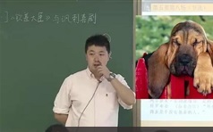 最新版小学大语文全集第15阶段视频课程附课后作业习题