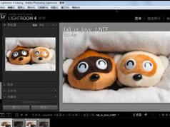 Lightroom4 基础视频教程_Lightroom 4视频教程全集_Lightroom4 中文基础视频教程