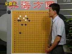 围棋实战攻防全5集_围棋实战与攻