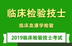 临床检验技士证考试之血液学检测