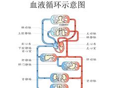 2019高考生物必修3系统提分班_高三生物课程讲解及提分训练