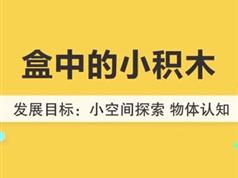 8个月宝宝早教训练课程视频全套（56集）