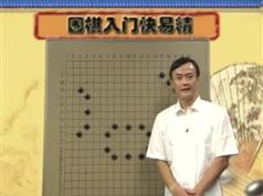 围棋入门快易精_围棋入门视频教程_王元围棋视频讲座