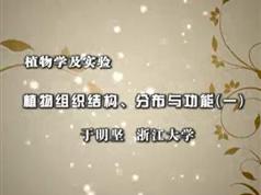 《植物学及实验》全套教学视频（浙江大学 于明坚）