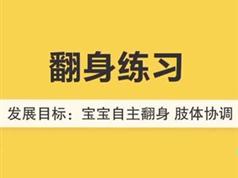 6个月宝宝早教训练课程视频全套（56集）