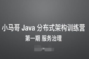 第一期服务治理训练营：小马哥带你深入学习Java分布式架构