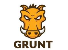 Grunt教程-前端项目自动化构建工具之Grunt视频教学