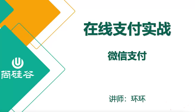 Java在线支付实战-微信支付：深入学习Java在线支付技术