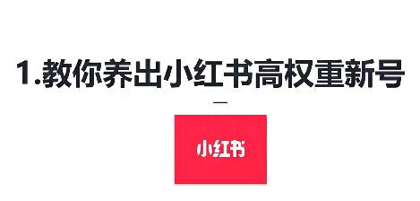 小红书运营引流全系列课程，每天引