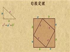 北师版初中八年级数学教学视频全集(乐乐课堂初二数学 上册+下册13讲)