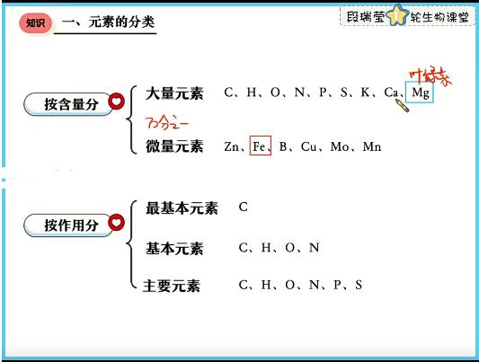 段瑞莹生物2024高三高考生物一轮暑假