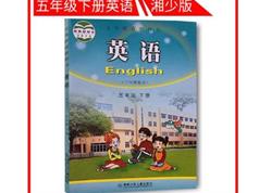 湘少版小学五年级英语下册网课教学视频全套（43集）