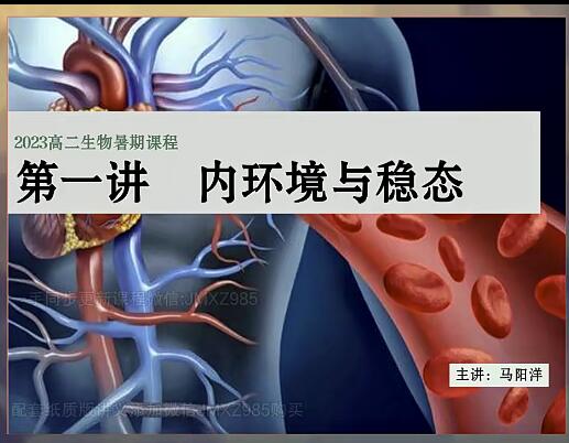 马阳洋2024高二生物暑假班网课