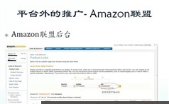 亚马逊跨境电商Amazon report数据分析及平台外推广视频教程