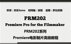 premiere电影制片培训高级实战教程视频全套（10集）