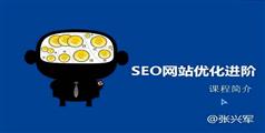 SEO网站优化进阶-SEO研究中心-传课网-张兴军-551