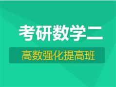 高等数学考研重要考点知识串讲全套教学视频（童老师 23集）