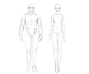 动漫人体解剖学及比例绘制教学视频