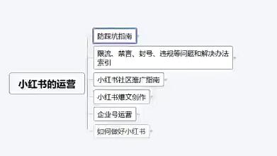 苏歆带你学习《小红书穿透式营销