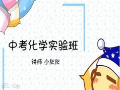 中考化学提分实验班辅导教学视频(猿辅导 刘旭 40节课)