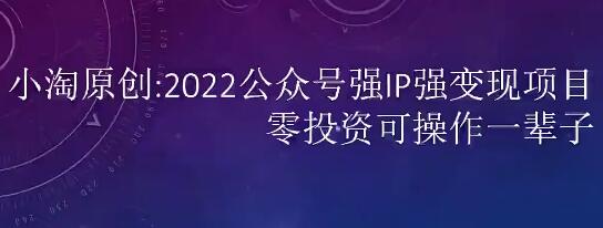 小淘2022公众号强IP强变现项目：掌