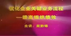 优化企业关键业务流程：提高组织绩效教程讲座下载-戴黔锋-489