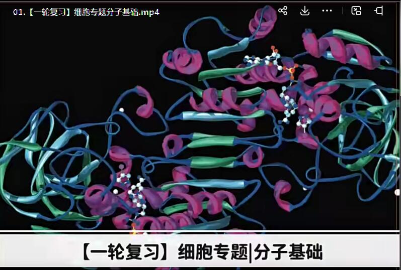 徐京2024高三生物暑假班网课