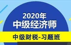 中级经济师备考财税专业题目习题