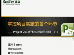 张辛微软project2013官方教程（25