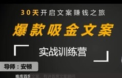 《新媒体爆款文案怎么写》全套教学视频（29集）