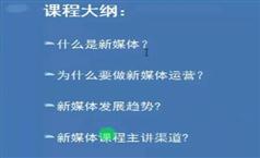 利为汇售价2198元今日头条自媒体赚钱培训课（共29课）视频版