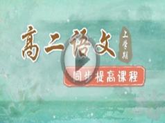 通用版高二语文上学期知识点成绩同步提高网课教学视频(王遐之 简单学习网 23讲)