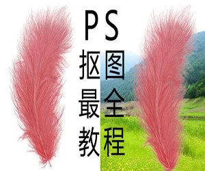 Photoshop零基础抠图秘技：抠图效果让你惊艳！