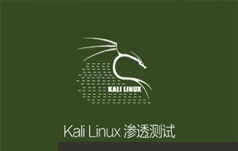 Kali Linux高级渗透测试视频教程(Kali Linux 高级篇)