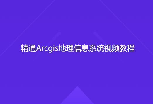 Arcgis地理信息系统视频教程：精通