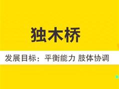 19个月宝宝早教游戏训练课程视频全套（53集）