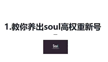 soul精准引流系列课程：每天引流10